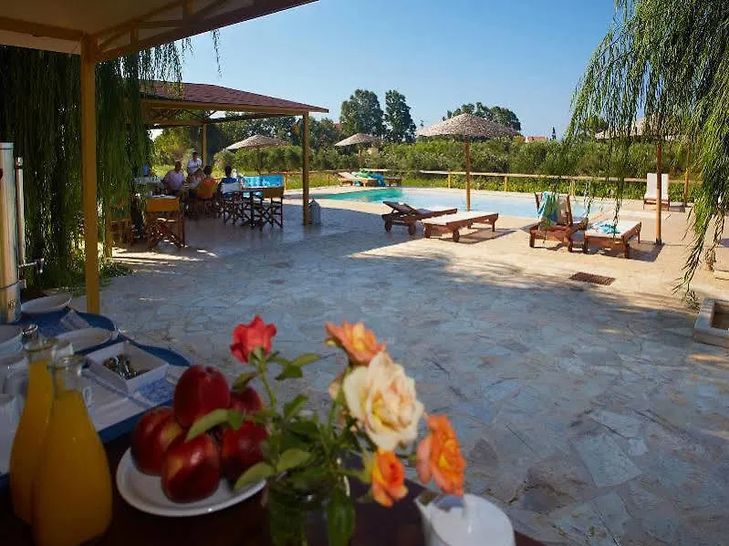 Aggelina'S Apartments Kefalonia Island Hotel Xi Beach